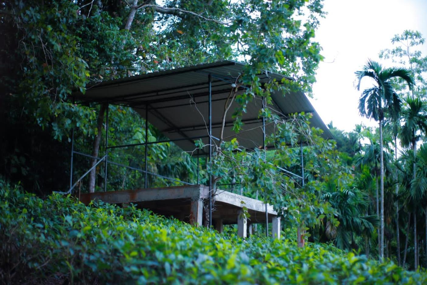 Rainforest Lodge, Deniyaya Singheraja Exteriér fotografie