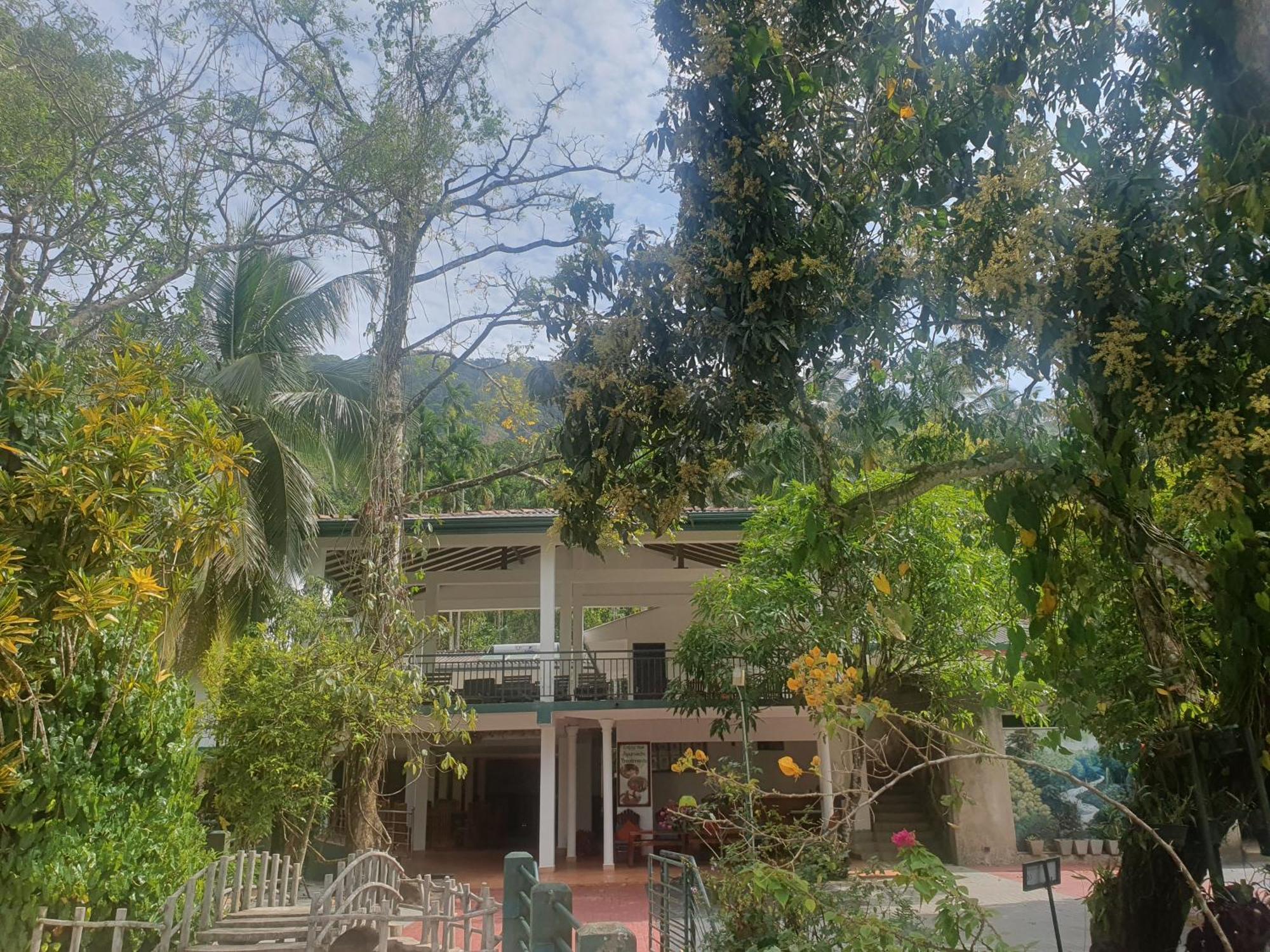 Rainforest Lodge, Deniyaya Singheraja Exteriér fotografie