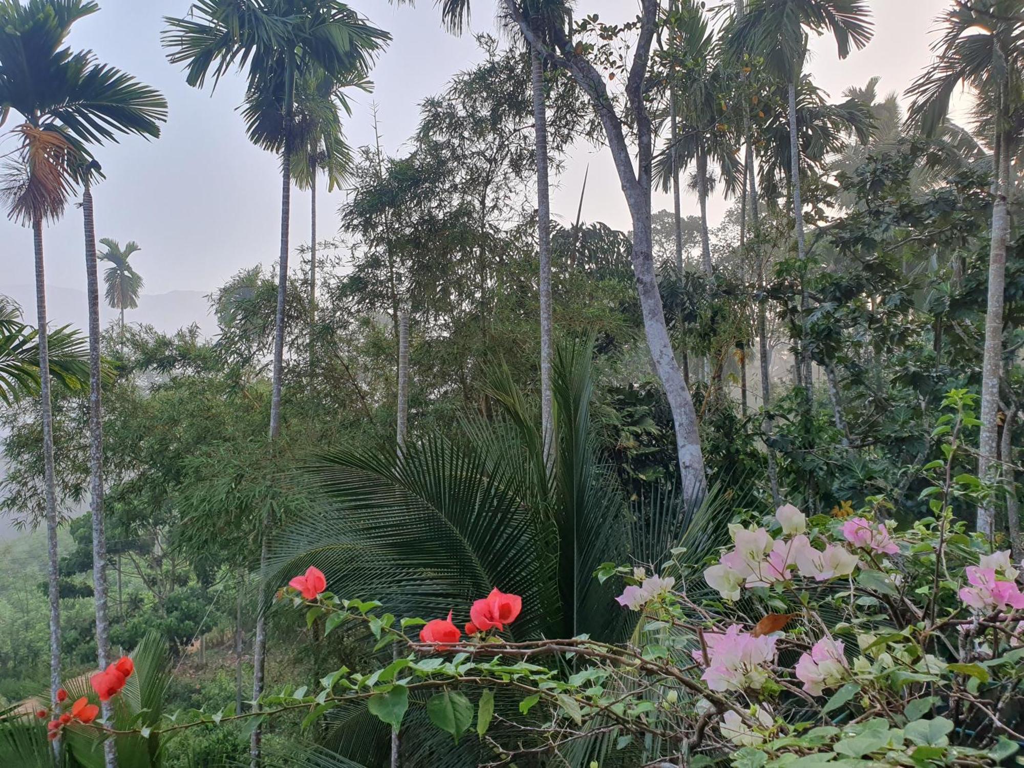 Rainforest Lodge, Deniyaya Singheraja Exteriér fotografie