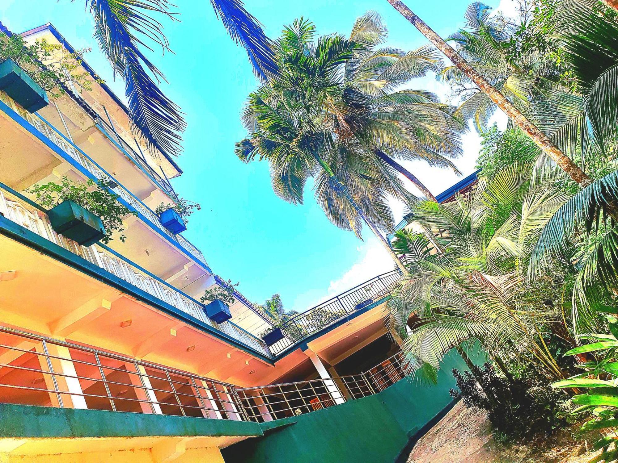 Rainforest Lodge, Deniyaya Singheraja Exteriér fotografie