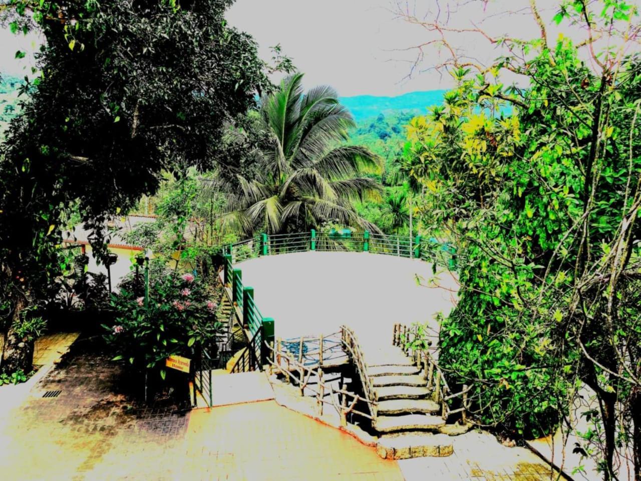 Rainforest Lodge, Deniyaya Singheraja Exteriér fotografie
