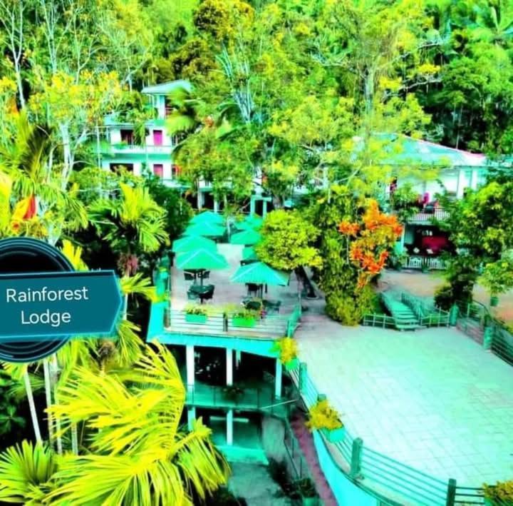 Rainforest Lodge, Deniyaya Singheraja Exteriér fotografie